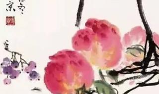 两个桃子一个李子的寓意是什么 桃子老师和4个学生