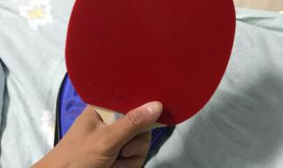 日本小鸟乒乓球拍底板与蝴蝶王球拍底板哪个好 银河乒乓球拍底板 好吗